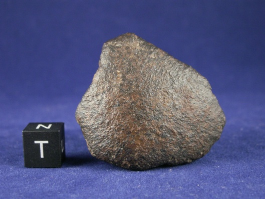 Oriented Meteorites