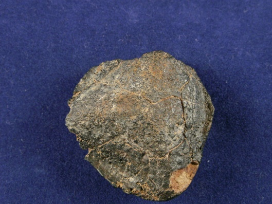 Oriented Meteorites