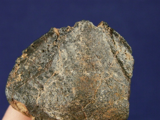 Oriented Meteorites