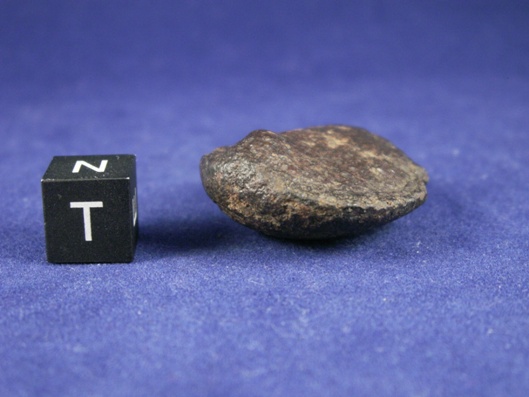 Oriented Meteorites