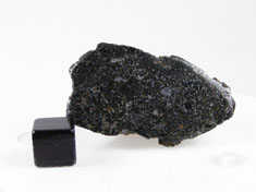 NWA 1951 Mesosiderite meteorite