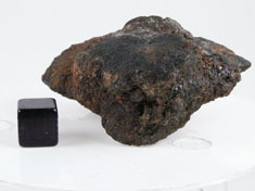 NWA 1951 Mesosiderite meteorite