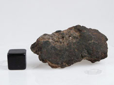 NWA 1951 Mesosiderite meteorite