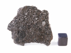 NWA 1951 Mesosiderite meteorite