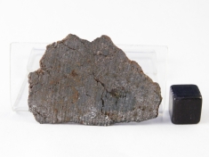 NWA 1951 Mesosiderite meteorite