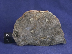 NWA 1951 Mesosiderite meteorite