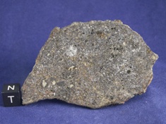 NWA 1951 Mesosiderite meteorite