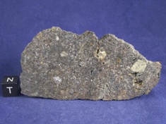 NWA 1951 Mesosiderite meteorite