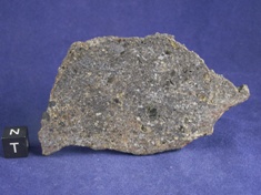 NWA 1951 Mesosiderite meteorite