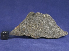 NWA 1951 Mesosiderite meteorite