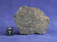 NWA 1951 Mesosiderite meteorite