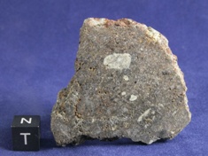 NWA 1951 Mesosiderite meteorite