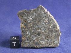 NWA 1951 Mesosiderite meteorite