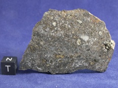 NWA 1951 Mesosiderite meteorite