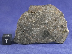 NWA 1951 Mesosiderite meteorite