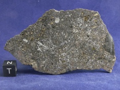 NWA 1951 Mesosiderite meteorite