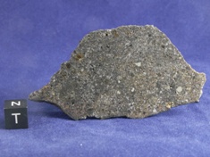 NWA 1951 Mesosiderite meteorite