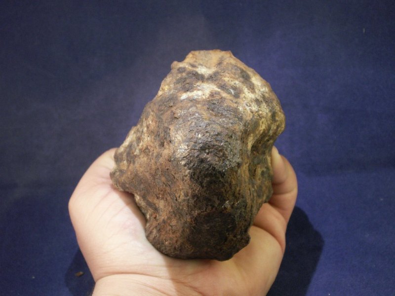 Oriented Taza Meteorites