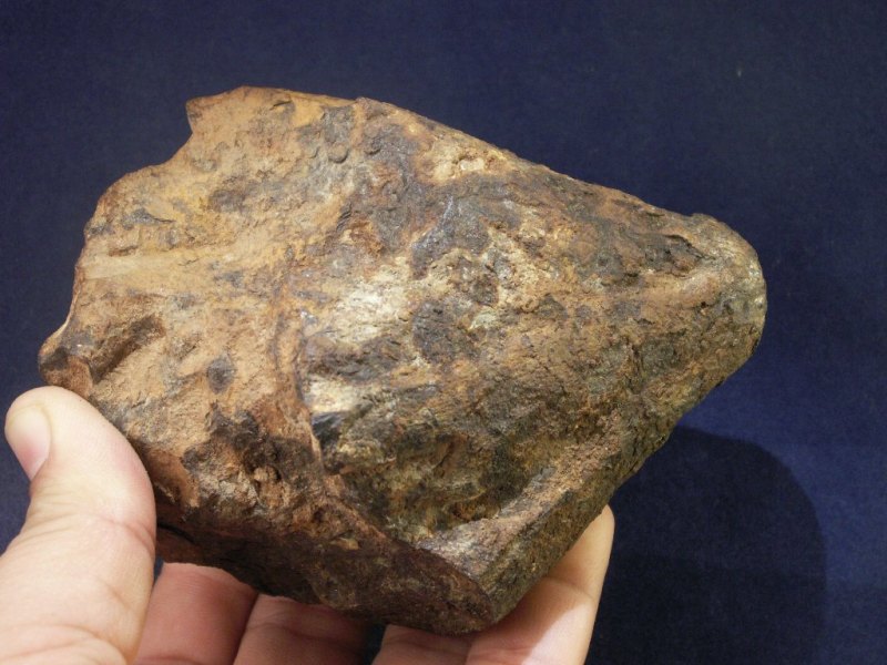 Oriented Taza Meteorites