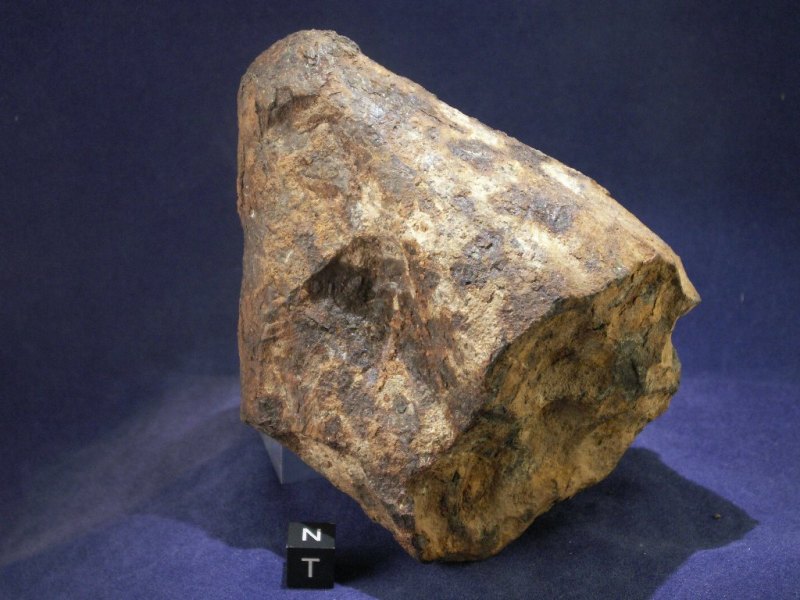 Oriented Taza Meteorites