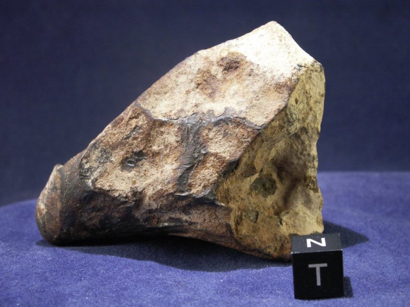 Oriented Taza Meteorites