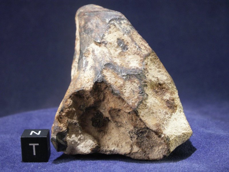 Oriented Taza Meteorites