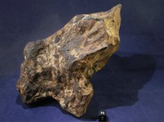 Taza meteorite