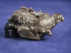 ZIZ (NWA 854) meteorite